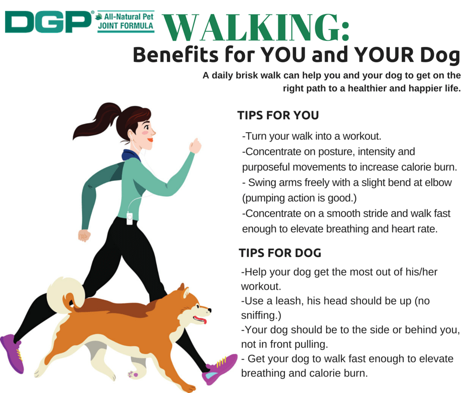 Walking: Benefits for YOU and YOUR dog - DGP For Pets