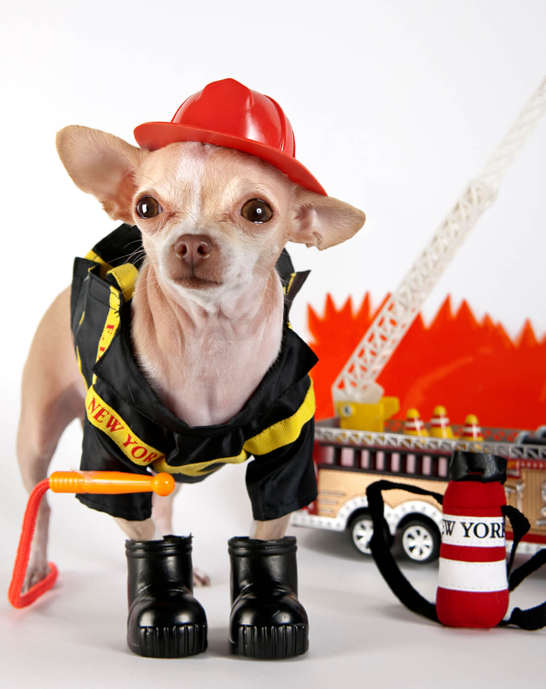 Fire Pet Safety Tips