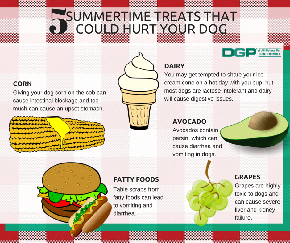 Can Hot Weather Cause Diarrhea In Dogs Can Hot Weather Cause Diarrhea In Dogs