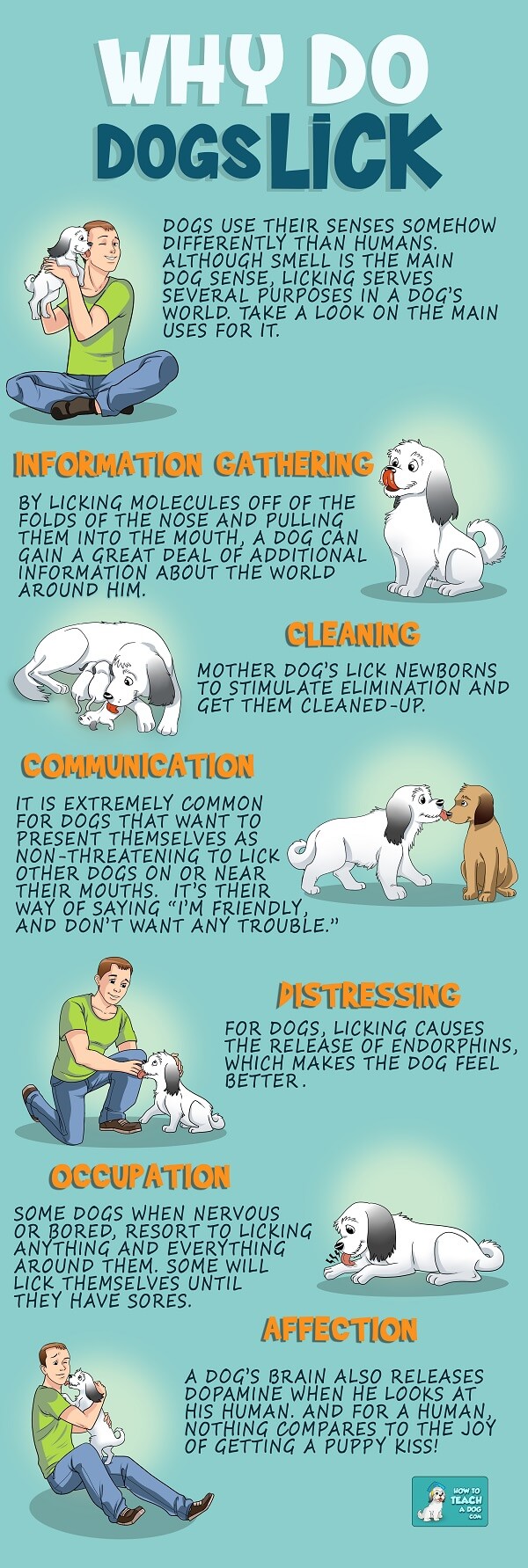 why do dogs your why do dogs dgp for pets why do dogs your why do dogs dgp for pets