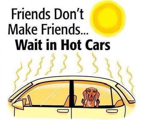 How Long Can A Dog Be Left In A Car How Long Can A Dog Be Left In A Car