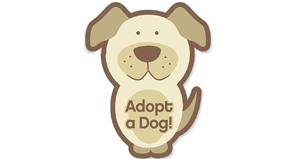 Adopt a Dog