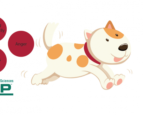 How to Spot Aches in Dogs