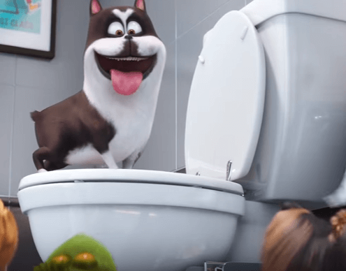 secret life of pets