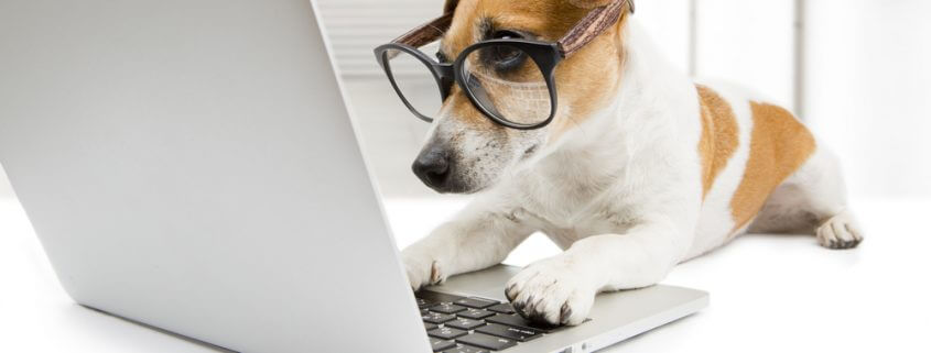DGP Privacy Policy
