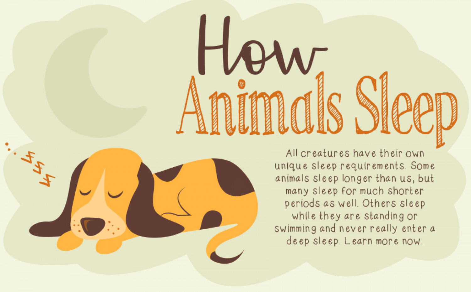 How do animals sleep? DGP For Pets