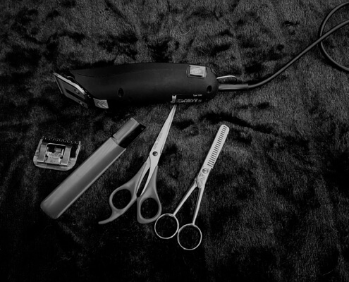 dog grooming tools