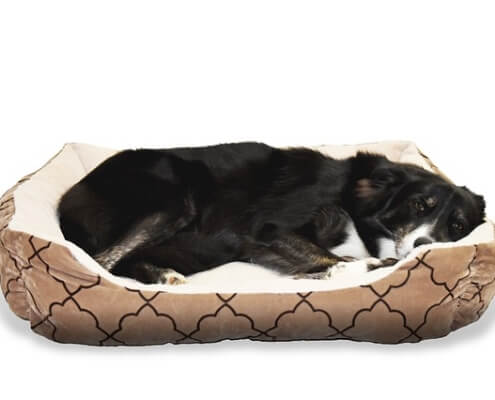 best dog beds for large dogs